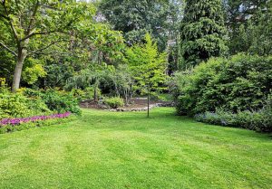 Optimiser l'expérience du jardin à Poiseul-la-Grange