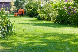 travaux jardin et paysage Poiseul-la-Grange